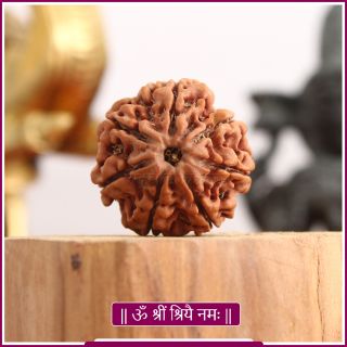 Handpicked Original Rudraksh from Arunachal Pradesh –3, 4 & 5 Mukhi – Natural, Energized & Powerful